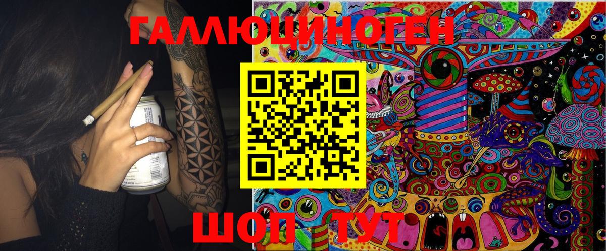 продажа наркотиков  Вход с VPN  Галлюциногенные грибы MAGIC MUSHROOMS  Дербент  Псилоцибиновые грибы GOLDEN TEACHER 